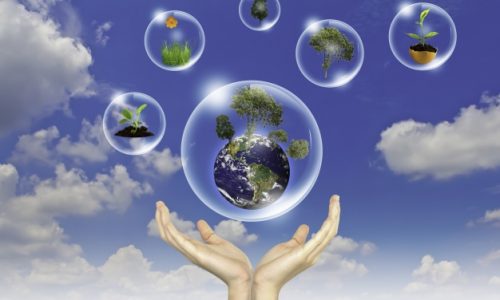 Como Elaborar Relatórios de Sustentabilidade