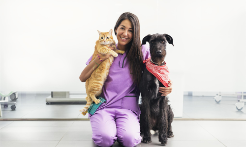 Curso Auxiliar de Médico Veterinário bLearning